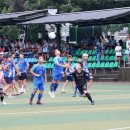 경주시민운동장 경주축구공원 2구장 티스토리