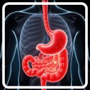 내 건강을 지키는 약과 생활 이미지