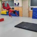 호림도장 이미지