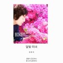 달빛양이 이미지