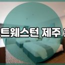 베스트웨스턴 제주 호텔 위치 객실 시설은?