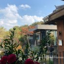오월cafe카페