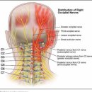 서울안아픈세상의원 이미지