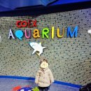 아기랑서울여행 / 서울실내가볼만한곳, 아기랑 코엑스아쿠아리움 다녀온 후기(서울여행2일차)