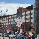 근화여자고등학교 티스토리