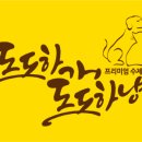 도도하개 이미지