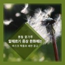 봄철 꽃가루 알레르기 증상 완화에는 마스크 착용과 세안 권고 이미지