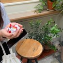 라자냐식당(食堂) 이미지