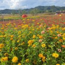 여성답사팀의 마지막 코스로 울산국가정원•십리대숲 이미지