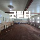 용인사