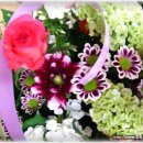 케익타운 이미지