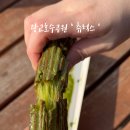 120호공원 이미지