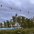 소롱코지 이미지