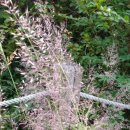 포항종합상사 이미지