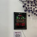 언양스테이크갈비 | 노비아갈라웨딩 전자관점 뷔페 시식 후기 (토요일 vs 일요일 솔직 비교)