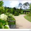 푸른수목원 이미지