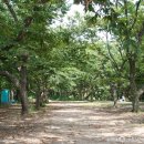 반곡유원지 이미지