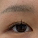 효앤정 | 뷰러 없이도 또렷한 눈매!👁️의정부 ‘브로우돌’ 솔직 속눈썹펌 후기