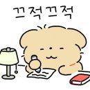 댕냥테라피 이미지