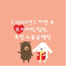 [2025년] 자연 속 프라이빗 힐링, 포천 노블글램핑