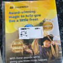 도그허니 이미지