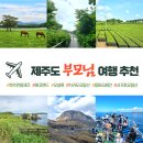 외돌개 나라 | 부모님 제주도여행 추천 관광지, 준비물