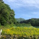 헬씨라이프 이미지