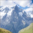 에델바이스 이미지