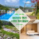 거북펜션 | 강원도 펜션 추천 고성 숙소 독채 수영장 계곡 물놀이