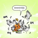 선일식품 - 대덕구 | W2. 시댁•처가 첫인사(1) - 맞춤 화과자 추천: 다과한 / 떡케이크, 도라지정과, 귀여운 답례품...