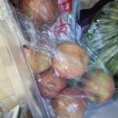 이삭청과 - 남양주시 별내3로 340 | 이삭청과