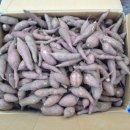 방주농원 이미지