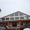 손탁커피 | 강원도 홍천 핸드드립 커피 맛집 <손탁 커피> 후기 (애견동반가능)