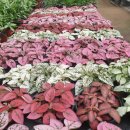 THE채움공인중개사사무소 이미지