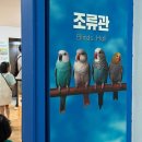 이마트24self강릉난설점 | 강릉, 애니멀스토리 ; 강릉 아이랑 가볼만한 실내 동물원 내돈내산 솔직후기