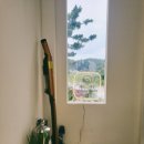 강릉언덕