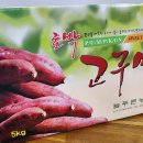 늘밤농원 이미지