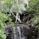 내린천 자연세상 이미지