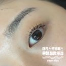 대전 속눈썹펌 추천, 성심당 근처 은행동 속눈썹펌 아티스트비에스 은행중앙로점 후기