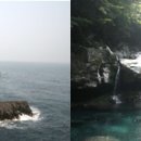 주상별미