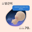날 데려가주 개 | 임신 28주 ~30주 (임신후기, 집정리, 육아용품, 서울식물원, 피에르에르메 마카롱, 히카리모노)