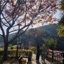 용소웰빙공원(입구) 이미지