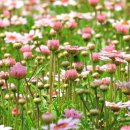 (유)하이얀 이미지