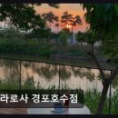 테라태백점 | 강릉맛집 테라로사 경포호수점 경포호수 풍경과 커피의 조화