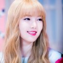 엉아네 이미지