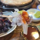 삼거리산오징어활어회 | 산 오징어회가 일품인 대구 동변동 '삼거리 산 오징어 활어회' 내 돈 내산 솔직 후 기