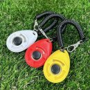 몽몽드림 이미지