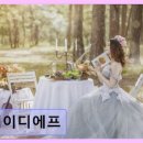 케이디에프 네이버블로그