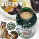 이뮤노팜 | 강아지항산화영양제 이뮤노벳, 3주 급여후기 feat.김약사네