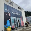 울릉푸른나무호스텔 | 울릉울릉 울라울라 울릉도 1일차